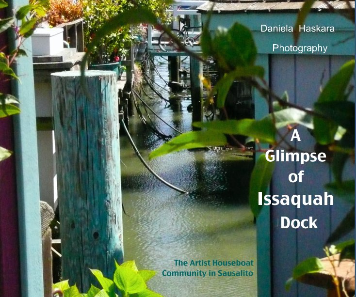 Ver A Glimpse of Issaquah Dock por Daniela Haskara Photography