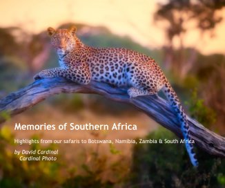 Memories of Southern Africa book cover