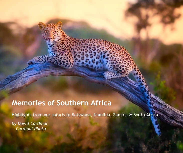 View Memories of Southern Africa by David Cardinal