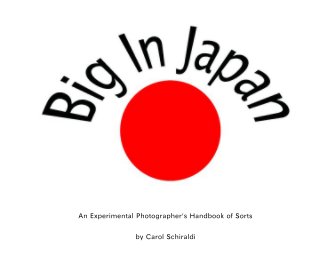 Big In Japan book cover