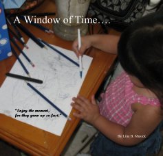 A Window of Time... book cover