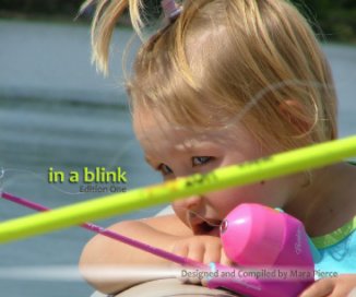 in a blink book cover