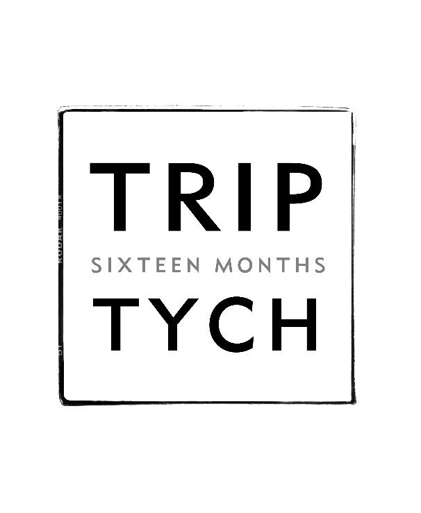 View Triptych: Sixteen Months by Sanders McNew