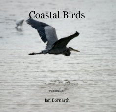 Coastal Birds book cover