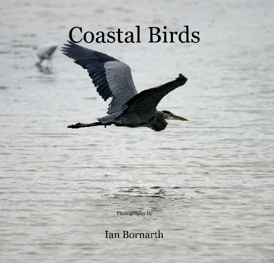 Visualizza Coastal Birds di Ian Bornarth