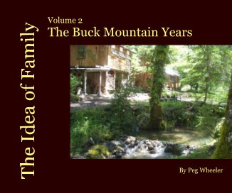 The Idea of Family book cover