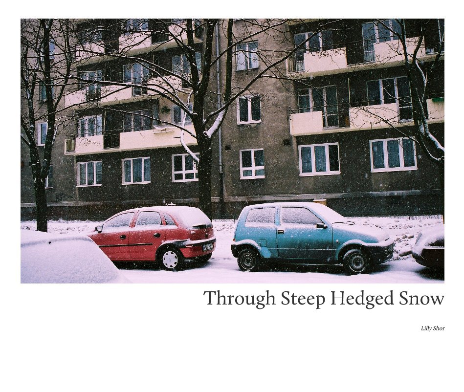 View Through Steep Hedged Snow by Lilly Shor