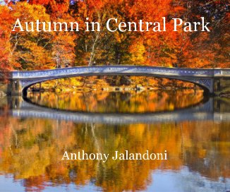 Autumn in Central Park book cover
