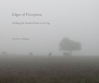 Edges of Perception book cover