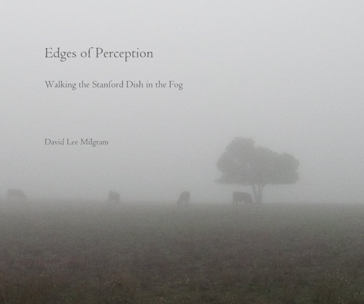 Ver Edges of Perception por David Lee Milgram