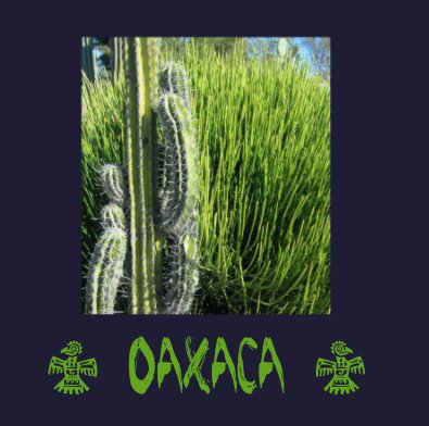 c OAXACa d book cover