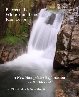 Between the White Mountains' Rain Drops book cover