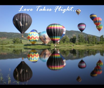 Love Takes Flight.... book cover