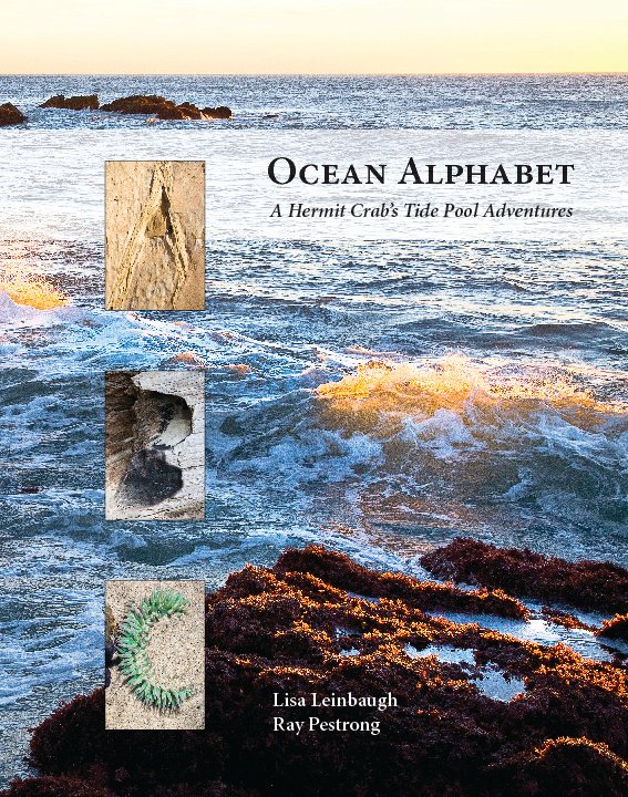 Ver Ocean Alphabet por Lisa Leinbaugh and Ray Pestrong