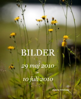 BILDER book cover