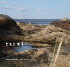 blue hill book cover