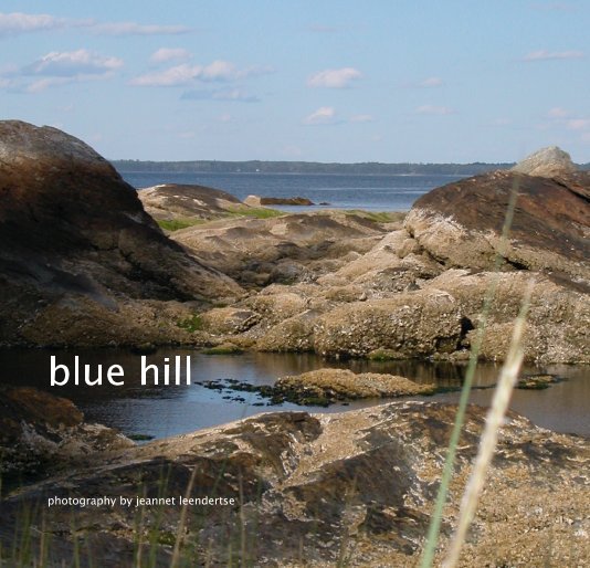 View blue hill by jeannet leendertse