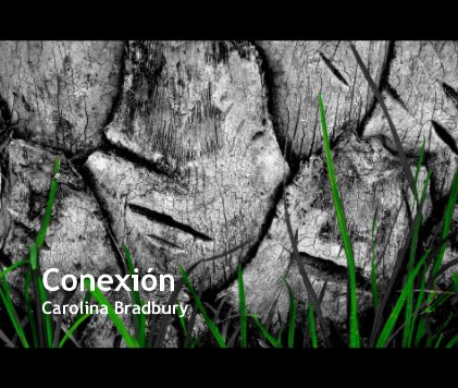 Conexión Carolina Bradbury book cover