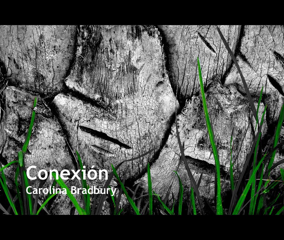 View Conexión Carolina Bradbury by carolinabrad