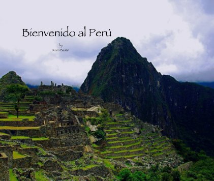 Bienvenido al Peru book cover