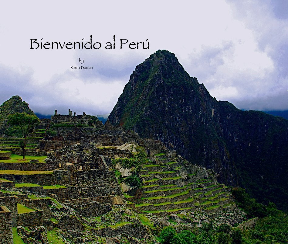 View Bienvenido al Peru by Kerri Bastin