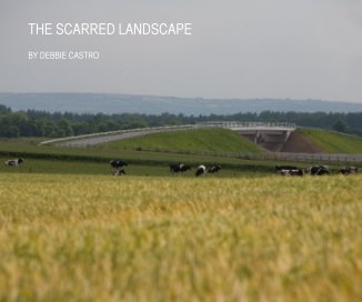 THE SCARRED LANDSCAPE book cover