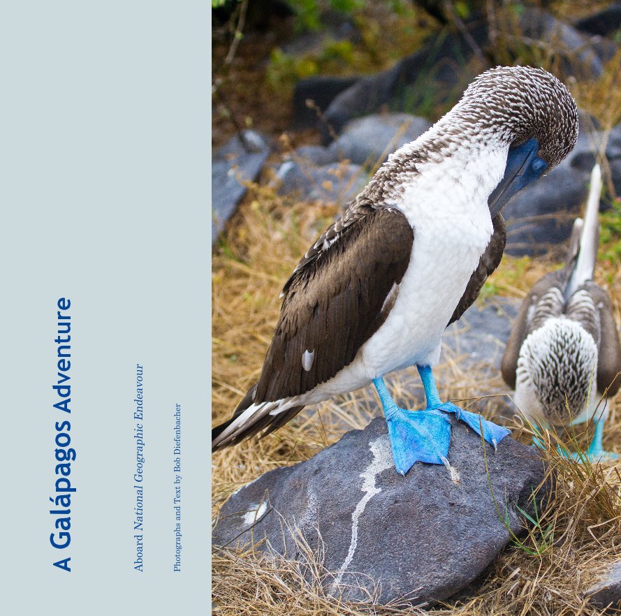 View A Galápagos Adventure by Photographs and Text by Bob Diefenbacher