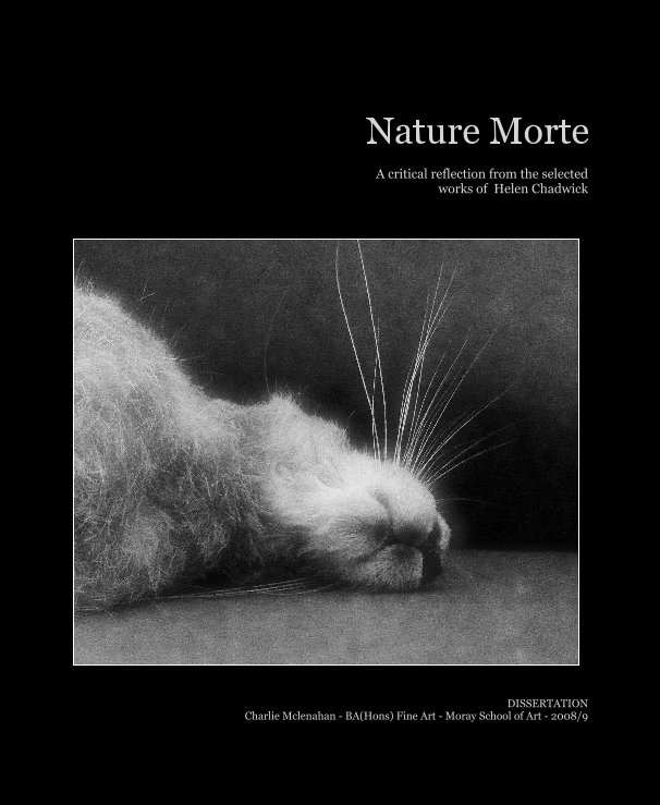 View Nature Morte by DISSERTATION Charlie Mclenahan - BA(Hons) Fine Art - Moray School of Art - 2008/9