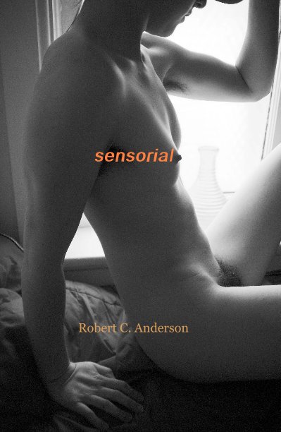 View sensorial by Robert C. Anderson