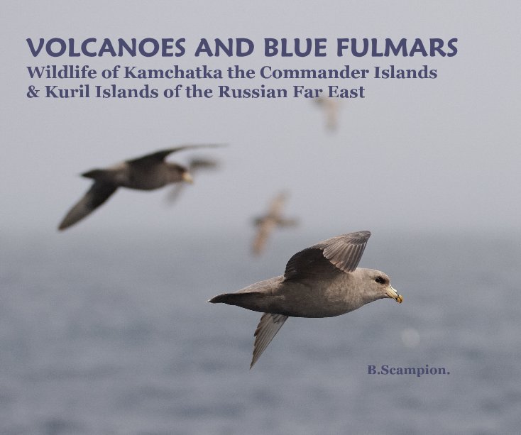 View VOLCANOES AND BLUE FULMARS Wildlife of Kamchatka the Commander Islands & Kuril Islands of the Russian Far East B.Scampion. by Baz Scampion