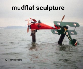 mudflat sculpture book cover