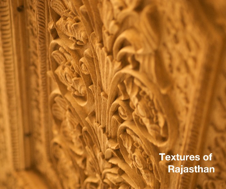 Ver Textures of Rajasthan por Khaled Hussain-Dupré