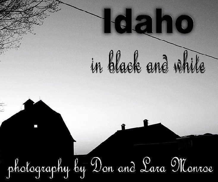 Visualizza Idaho in Black and White di Freestyle Foto