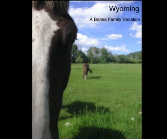 Wyoming book cover