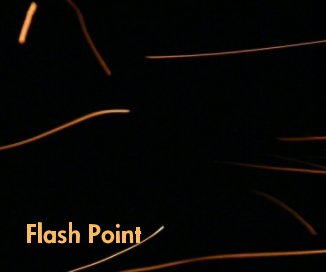Flash Point book cover