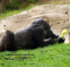 ZANY book cover