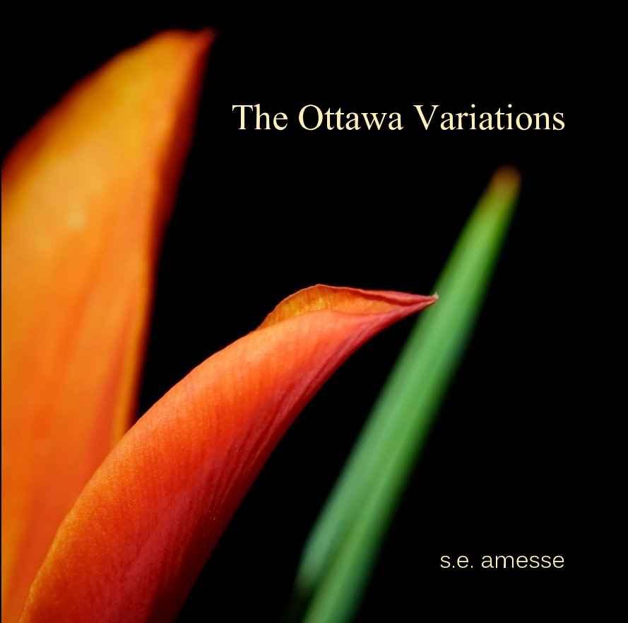 View The Ottawa Variations by s.e. amesse