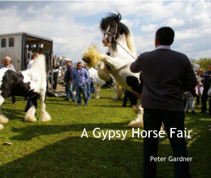 A Gypsy Horse Fair book cover