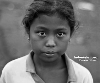 Indonésie 2010 book cover