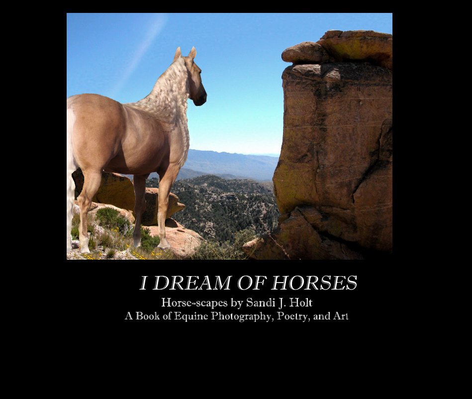 View I DREAM OF HORSES by SANDI J. HOLT