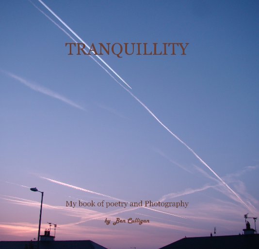View TRANQUILLITY by Ben Culligan