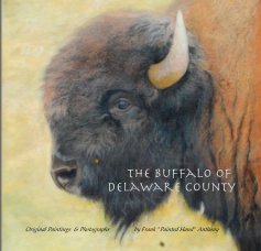 The Buffalo of Delaware County book cover