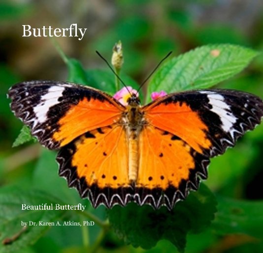 View Butterfly by Dr. Karen A. Atkins, PhD