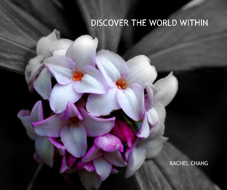 View DISCOVER THE WORLD WITHIN by RACHEL CHANG