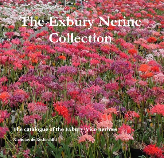 View The Exbury Nerine Collection by Nicholas de Rothschild