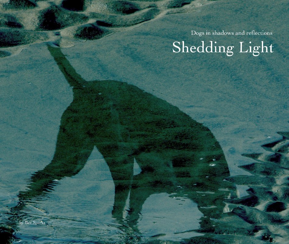 Ver Shedding Light por Bev Sparks