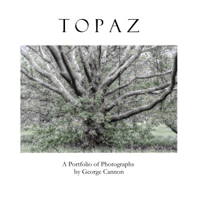 TOPAZ book cover