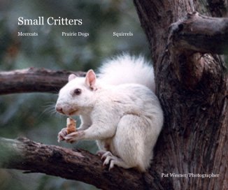 Small Critters book cover