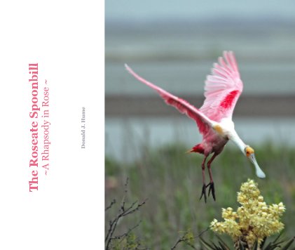 The Roseate Spoonbill book cover