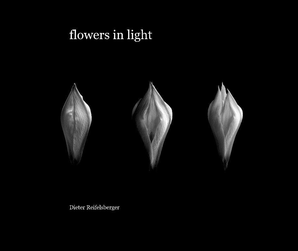 View flowers in light by Dieter Reifelsberger